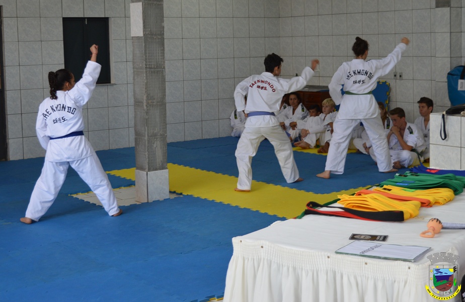 Taekwondoo1