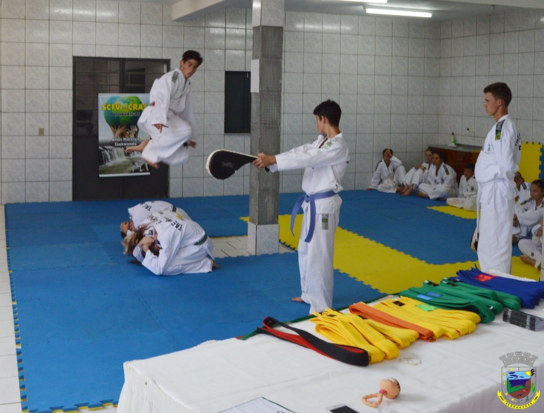 Taekwondoo3